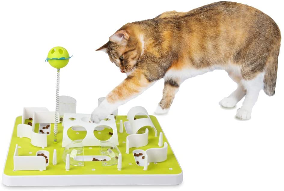 Cat treat hot sale maze