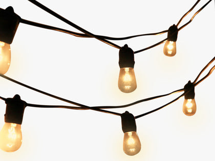 Festoon Light