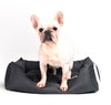 DS BS Dog Sofa Memory Foam-XS