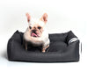 DS BS Dog Sofa Memory Foam-XS