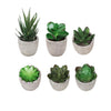 DS BS 6PCS Artificial Potted Succulent Plants