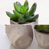 DS BS 6PCS Artificial Potted Succulent Plants