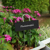 DS BS 20pcs Classic Metal Plant Nursery Labels-Black