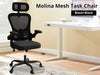 Molina Mesh Task Chair Black+Black