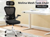 Molina Mesh Task Chair White+Black