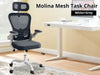 Molina Mesh Task Chair White+Grey