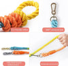 DS BS 150CM Soft Braided Colourful Dog Leash-Rainbow