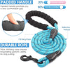 DS BS Reflective Rope Dog Leash 150cm-Blue