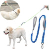 DS BS 2 in 1 Dog Bungee Leash & Car Seatbelt-Blue