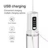 DS BS Portable USB Charge Oral Irrigator