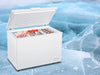 Novello 316L Chest Freezer