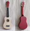 DS BS 21 inch Ukulele Mini Guita Beginner Kit-Natural