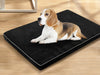 MemFoam Pet Bed A5 XLarge