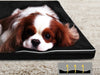 MemFoam Pet Bed A5 XLarge