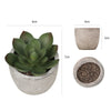 DS BS 6PCS Artificial Potted Succulent Plants