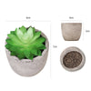 DS BS 6PCS Artificial Potted Succulent Plants