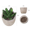 DS BS 6PCS Artificial Potted Succulent Plants