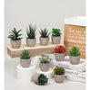 DS BS 6PCS Artificial Potted Succulent Plants