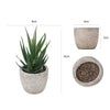 DS BS 6PCS Artificial Potted Succulent Plants