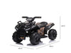 DS Ride On Car ATV Black