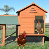 DS BS Automatic Chicken Coop Door Chicken Door Opener