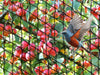 Anti-Bird Netting 10 X 10M